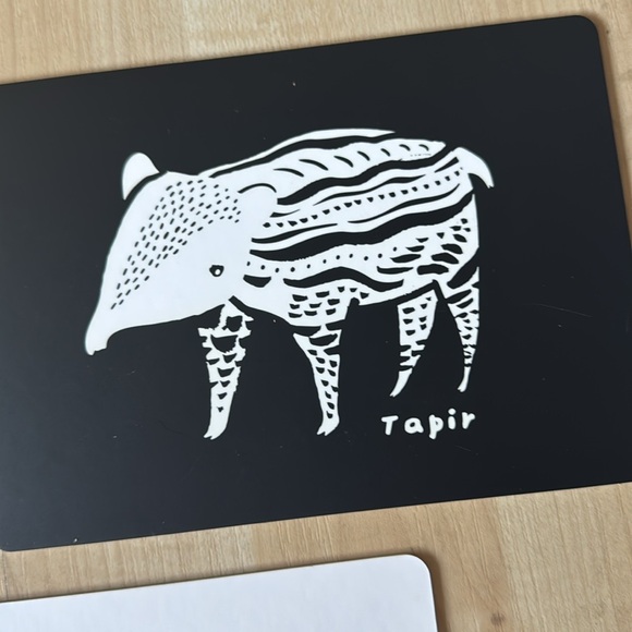 6 Art Cards for Baby Animal Collection | Contrast Cards | Developmental EUC - Picture 4 of 9